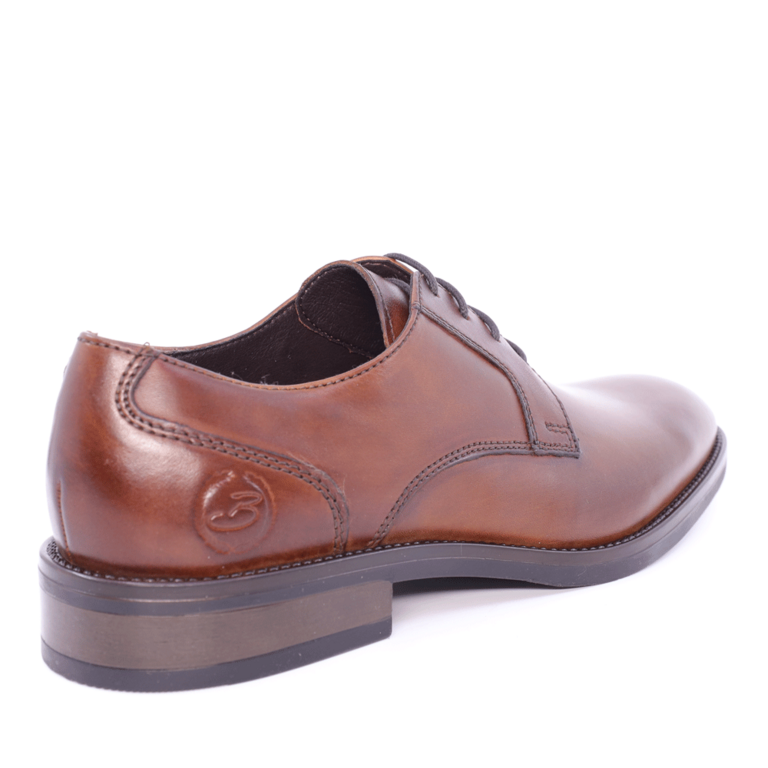 Men's Benvenuti derby shoes brown leather model 716BP8695M