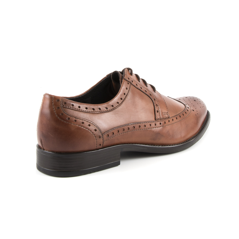 Benvenuti men's brogue derby shoes in brown leather 1100BP27902M
