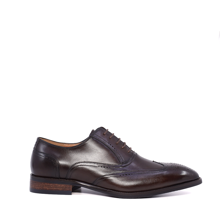 Enzo Bertini Premium Collection men's brown genuine leather oxford shoes 1647BP2277M