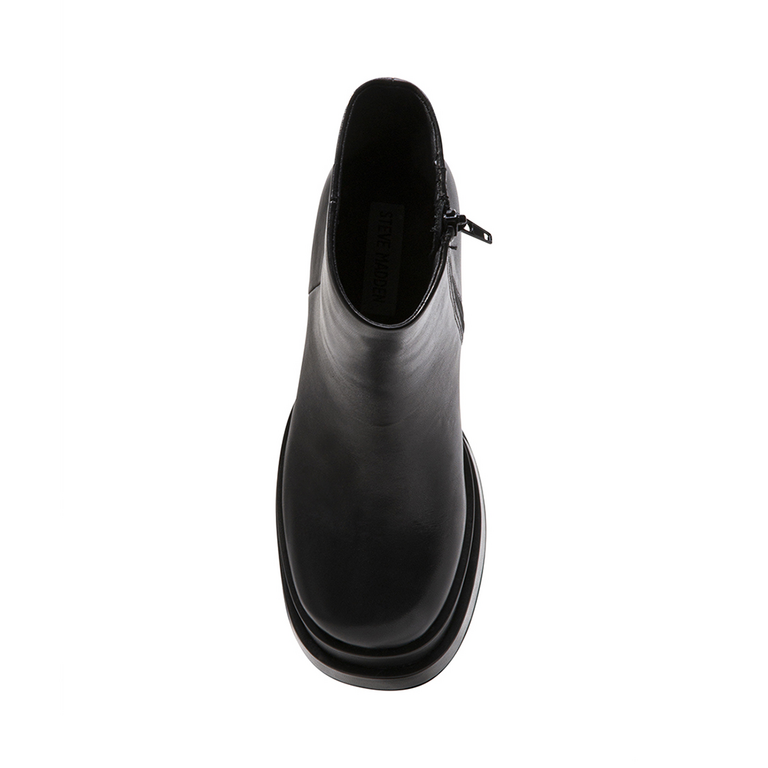 Steve Madden women Cobra ankle boots in black leather 1464DG12109N