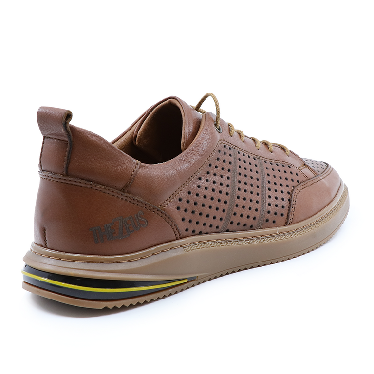 TheZeus men shoes in brandy brown perforated leather  2103BP55631CU