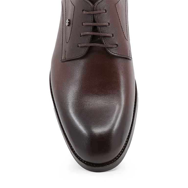TheZeus men derby shoes in brown  leather 2103BP26052M