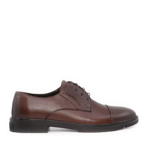 TheZeus men derby shoes in brown leather 2104BP26131M

