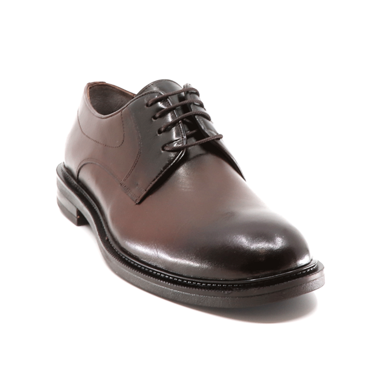 TheZeus men derby shoes in brown leather 2102BP26014M