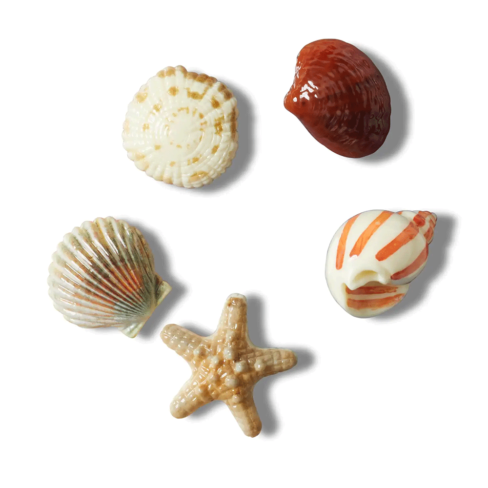 Set of 5 accessories Jibbitz Crocs She Sells Seashells 3899ACCSET10014671